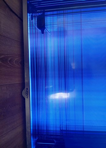 Beden televizyon sunny