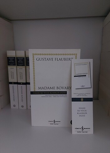 Madame Bovary 