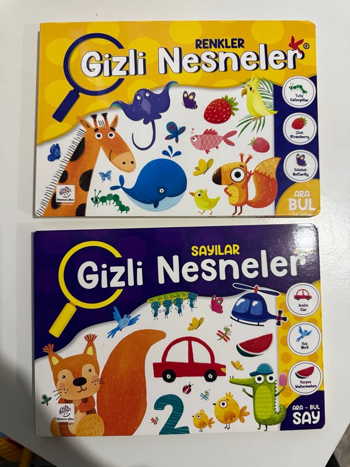 Gizli Nesneler - Renkler ve Sayılar Kitapları - Görsel 2