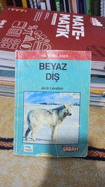 Beyaz Diş Hediye edebilirim