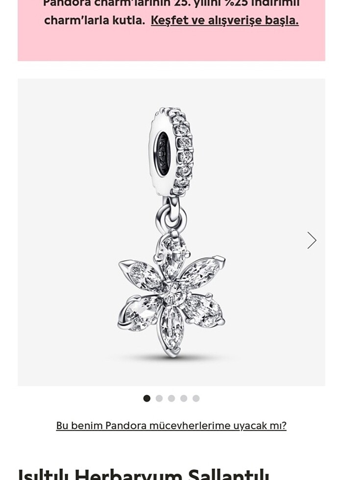 Işıltılı Herbaryum Sallantılı Charm - Görsel 3