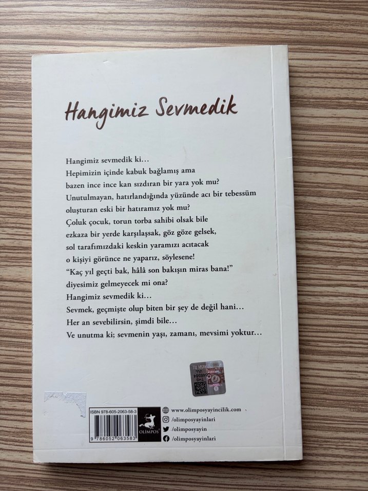 Hangimiz Sevmedik - Ethem Emin Nemutlu - Görsel 2