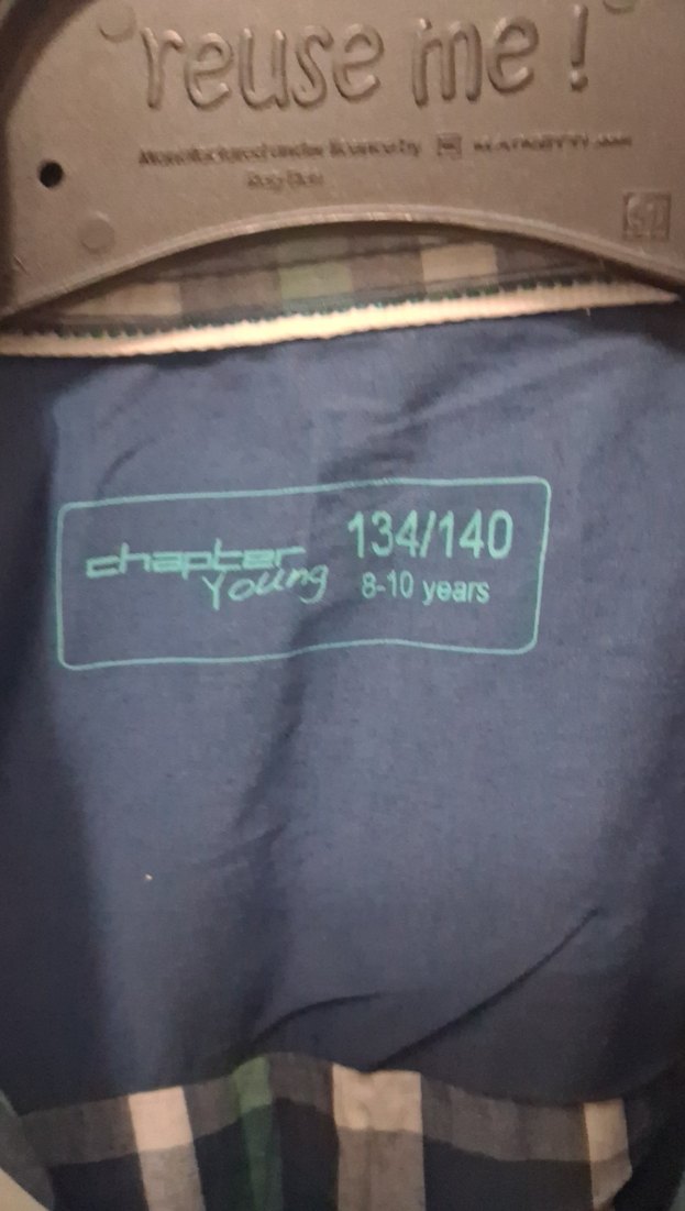 Mavi Ekoseli Erkek cocuk Gömlek - Görsel 2