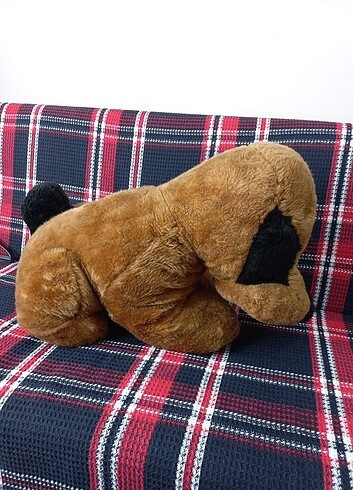 Beden Pelüs köpek