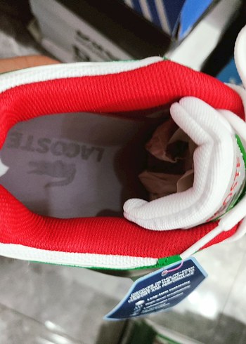 Lacoste Lacoste Çok Renkli Erkek Spor Ayakkabısı