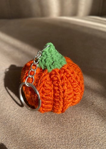 Gözlük ve Takı Koyma Kabı Yanında da Balkabağı Anahtarlık - Görsel 4