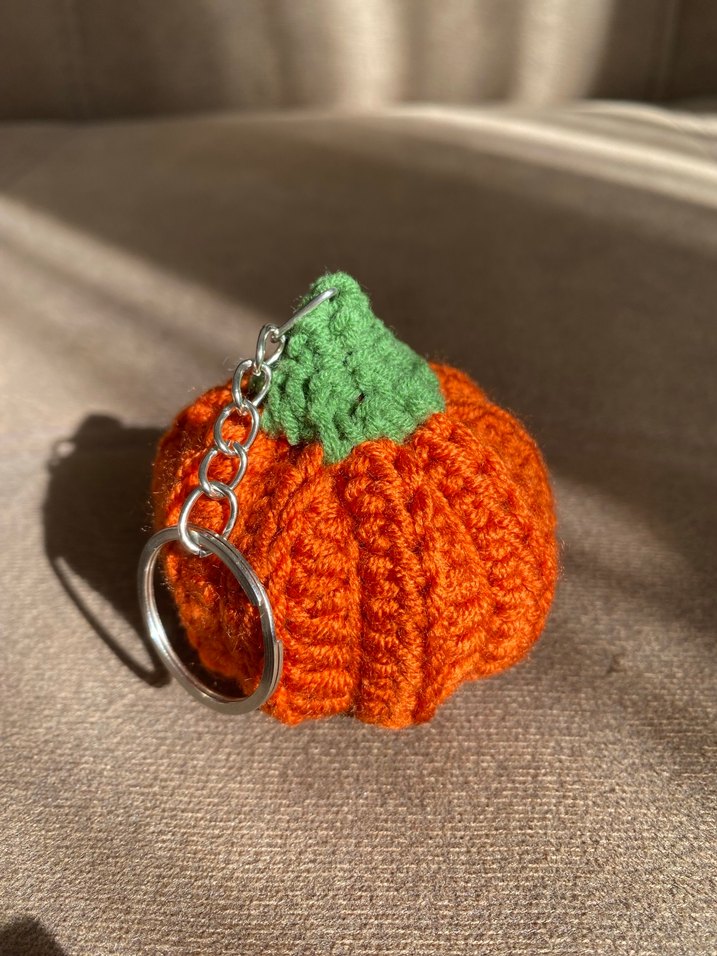 Gözlük ve Takı Koyma Kabı Yanında da Balkabağı Anahtarlık - Görsel 4