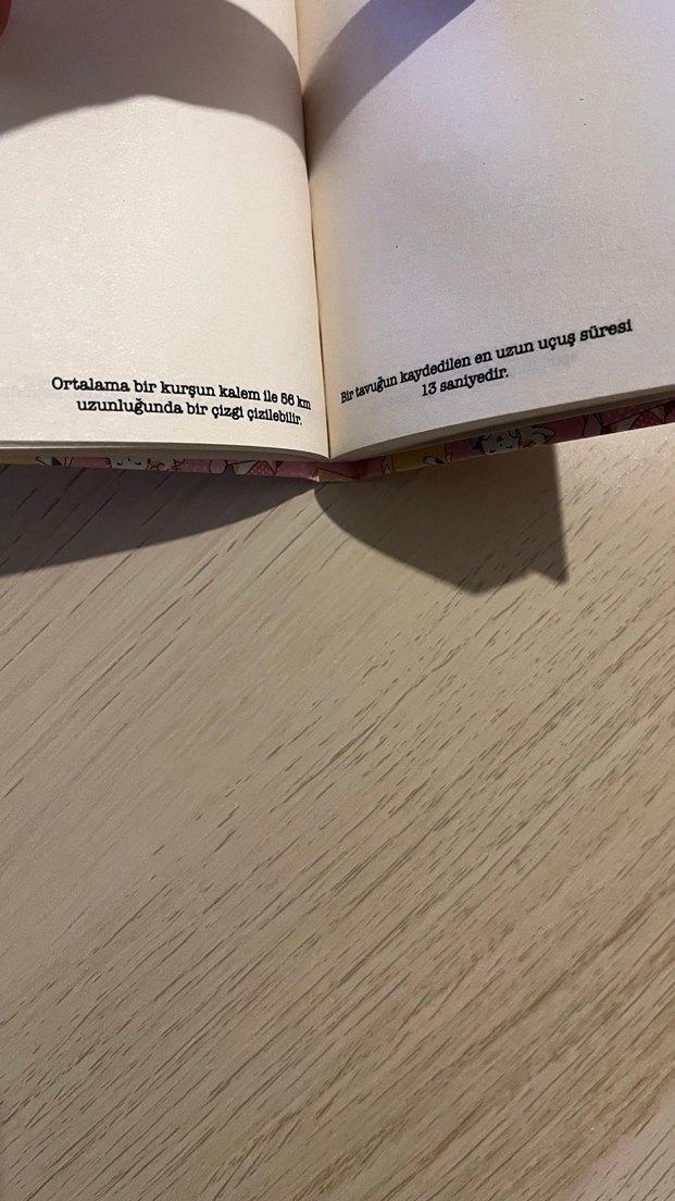 Pembe Sevimli Kedi Desenli Defter - Görsel 2