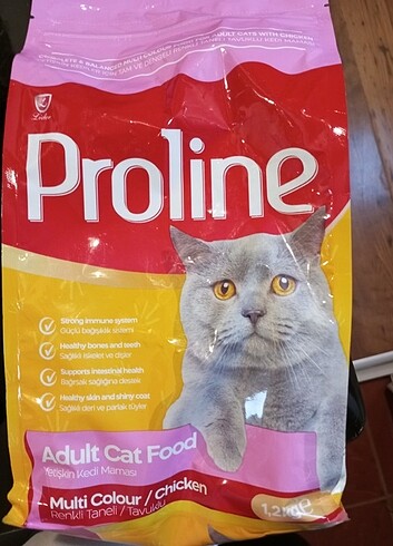 Proline yetişkin kedi maması tavuklu 