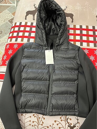 zara ceket