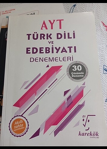 Ayt Türk Dili ve edebiyatı denemeleri