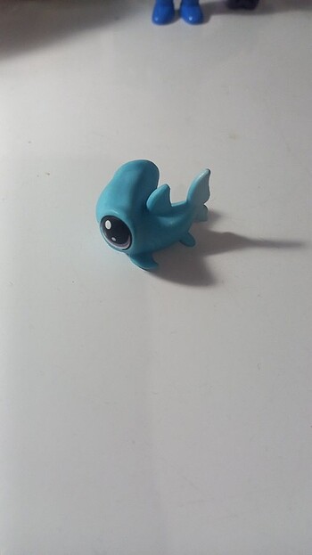 Beden Lps minisler shark