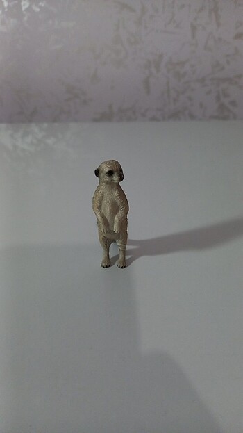 Collecta mirket 