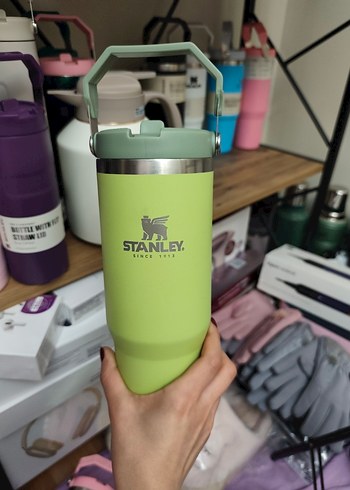 Stanley Pastel Yeşil Çocuk Termos - Görsel 14