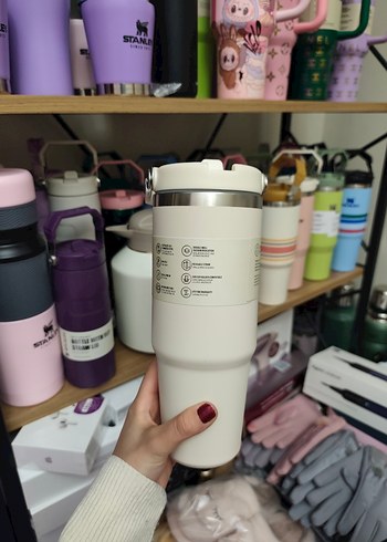 Stanley Pastel Yeşil Çocuk Termos - Görsel 18