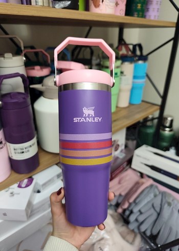 Stanley Pastel Yeşil Çocuk Termos - Görsel 19