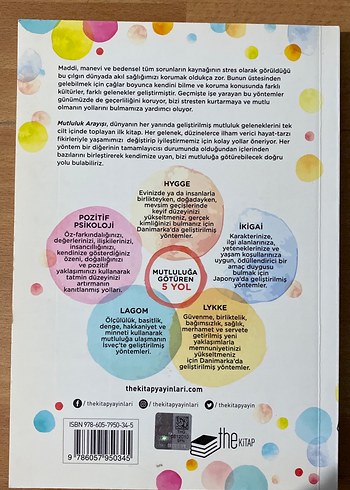 Mutluluk Arayışı - Mike Annesley - Görsel 3