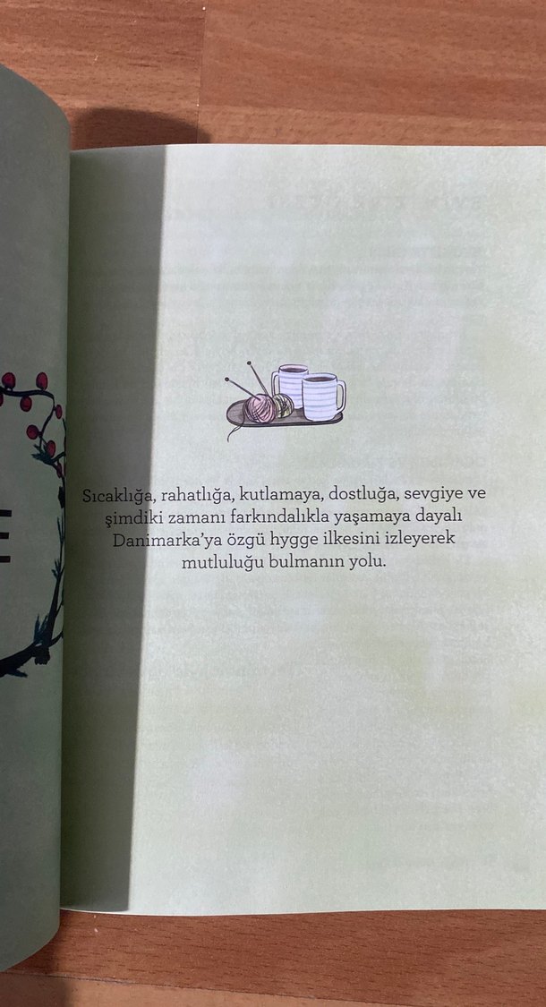 Mutluluk Arayışı - Mike Annesley - Görsel 2