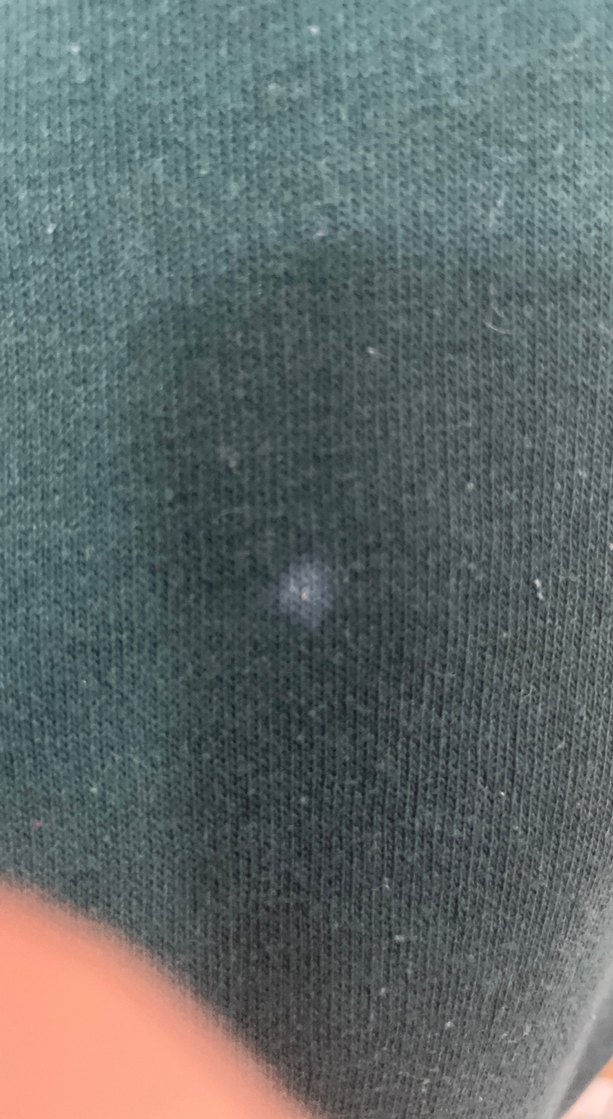 Yeşil Berlin Baskılı Kadın Sweatshirt - Görsel 2