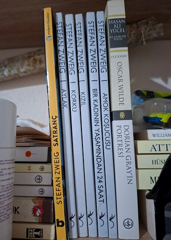 Stefan Zweig okuma kitabı