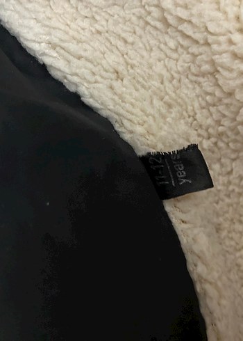 erkek çocuk mont the north face - Görsel 4