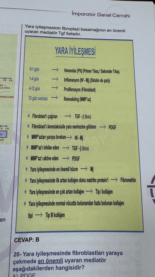 Ahmet Erkek Genel Cerrahi İmparator Kitabı tusworld - Görsel 3