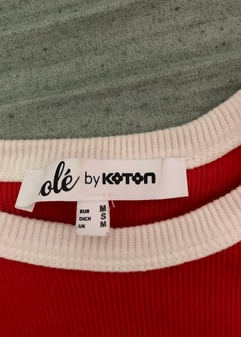 Kırmızı crop - Görsel 2