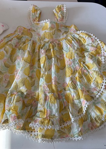 Colors Of California 12-18 Ay