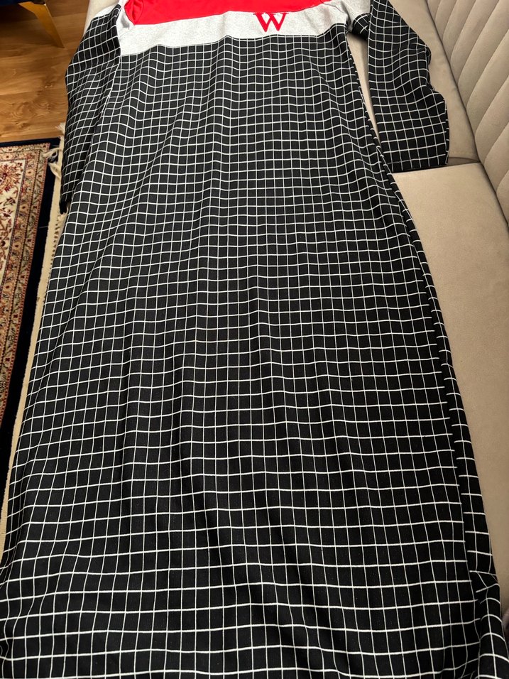 Kareli Kapüşonlu Uzun Kollu Kadın Elbise - Görsel 2