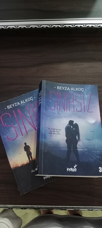 Beyza alkoçun sınır ve sınırsız kitabı