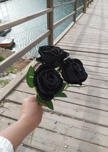 universal Beden siyah gül 