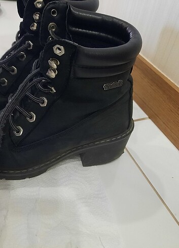 37 Beden Dockers bot