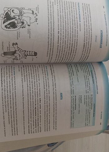  Beden Sistematik Anatomi Kitabı - Prof. Dr. Mehmet Yıldırım