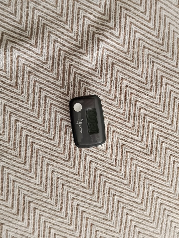 Rexpo Dijital Adım Sayar - Görsel 3