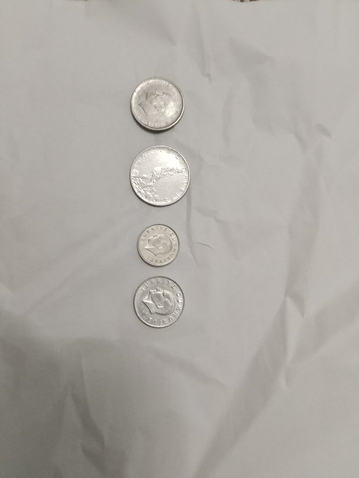 Koleksiyonluk Eski Paralar - Görsel 2