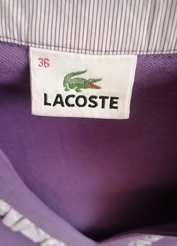 36 Beden Lacoste tişört 