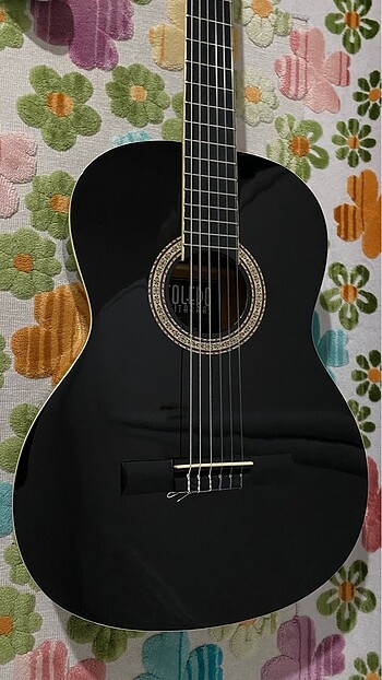 Beden Renk toledo gitar