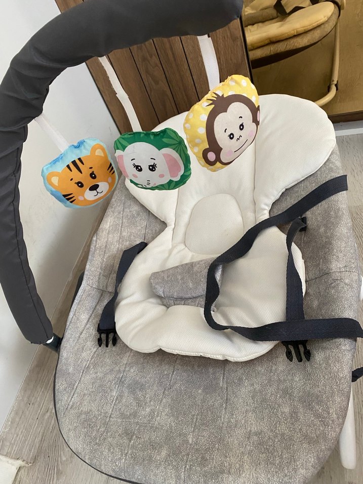 Gri Bebek ana kucağı - Görsel 2