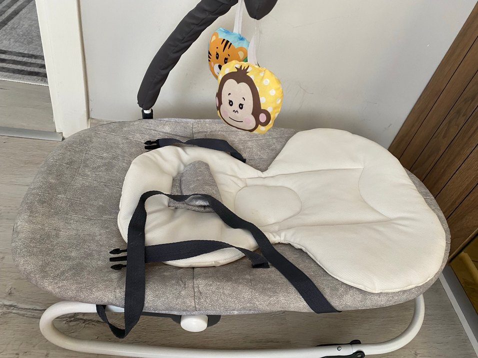 Gri Bebek ana kucağı - Görsel 3