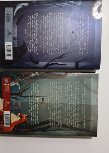 Kaybolmuş Ruhlar Sarayı - İki Kitap Seti