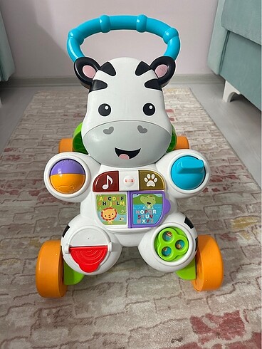Zebra yürüme arkadaşı