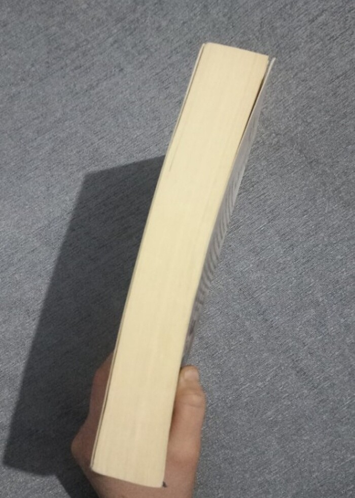 BÖRÜ 2 Çağlayan Yılmaz - Görsel 3