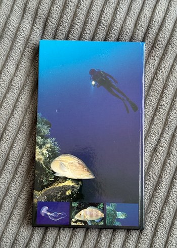 Kuzey Kıbrıs Dalış Rehberi Kitabı - Görsel 2