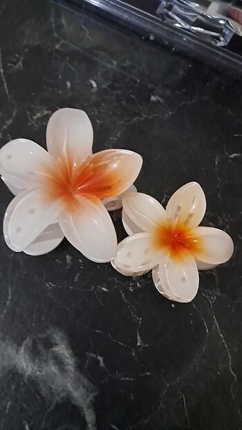 TOKA LOTUS