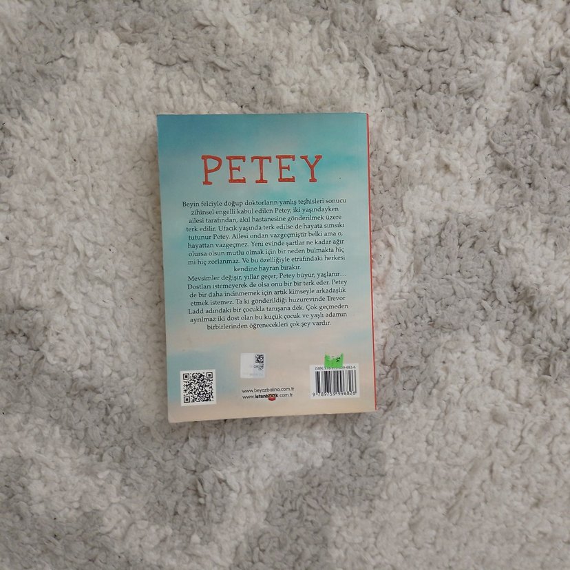 Petey - Ben Mikaelsen Roman - Görsel 5