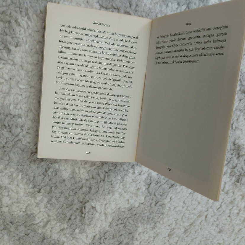 Petey - Ben Mikaelsen Roman - Görsel 4