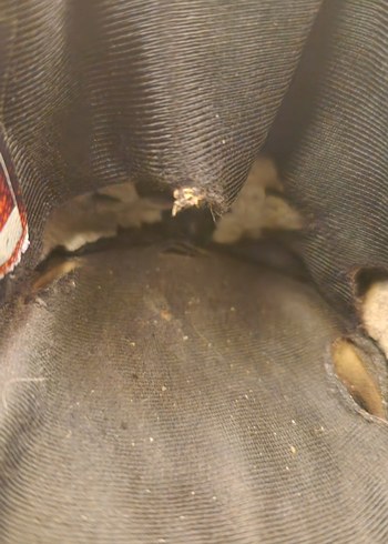 Skechers Gri Erkek Spor Ayakkabı - Görsel 5