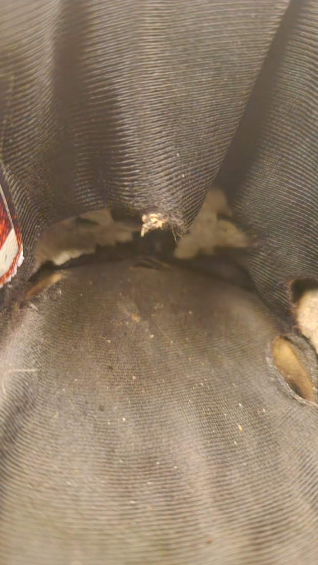 Skechers Gri Erkek Spor Ayakkabı - Görsel 5