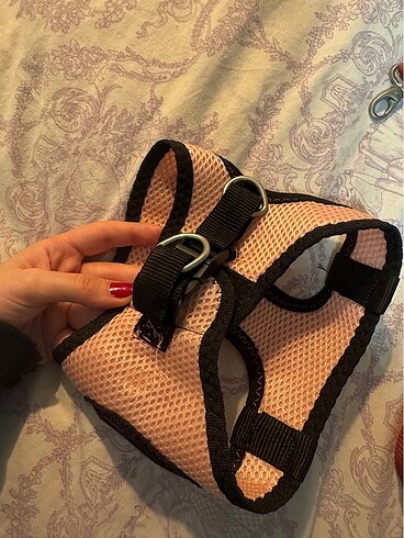  Pembe kedi köpek tasması