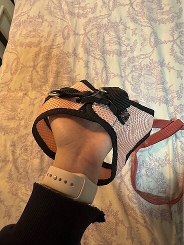  Beden Renk Pembe kedi köpek tasması